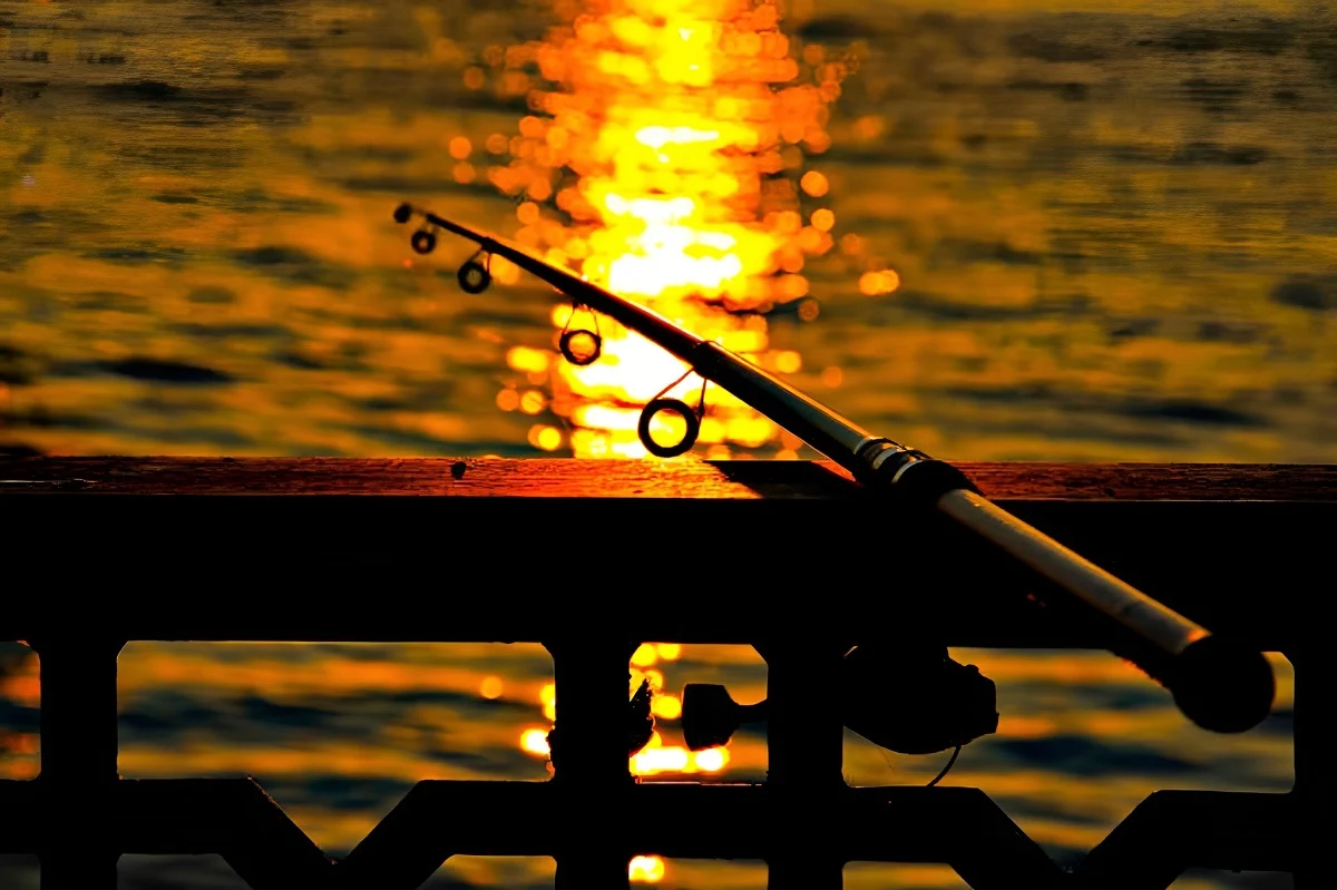 Fishing & Angling