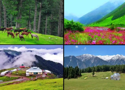 Meadows of Pakistan: Top Scenic Escapes
