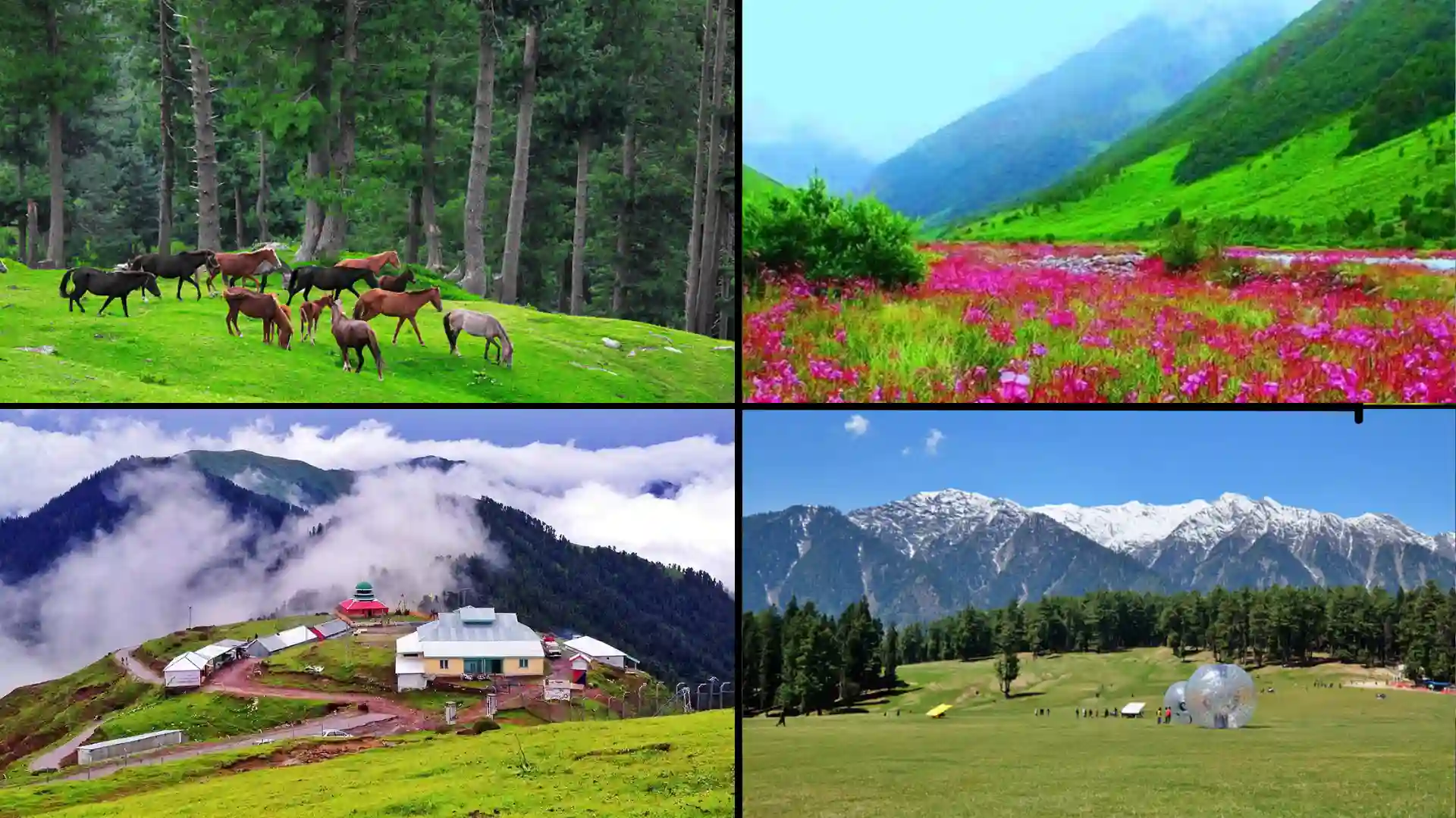 Meadows Of Pkaistan; Fairy Meadows, Rama Meadows, Minimarg Meadows, Ratti Gali Meadows, Ganga Choti, Baboon Meadows, Siri Paye Meadows, Lalazar Meadows, Jahaz Banda