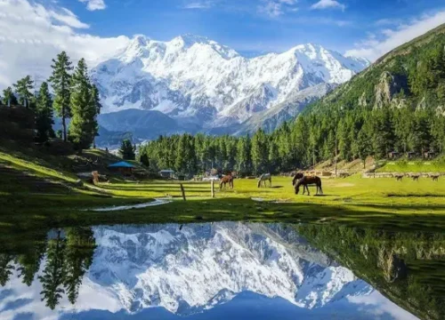 Fairy Meadows Tour