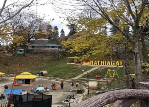 Nathia Gali & Mushkpuri Top Tour