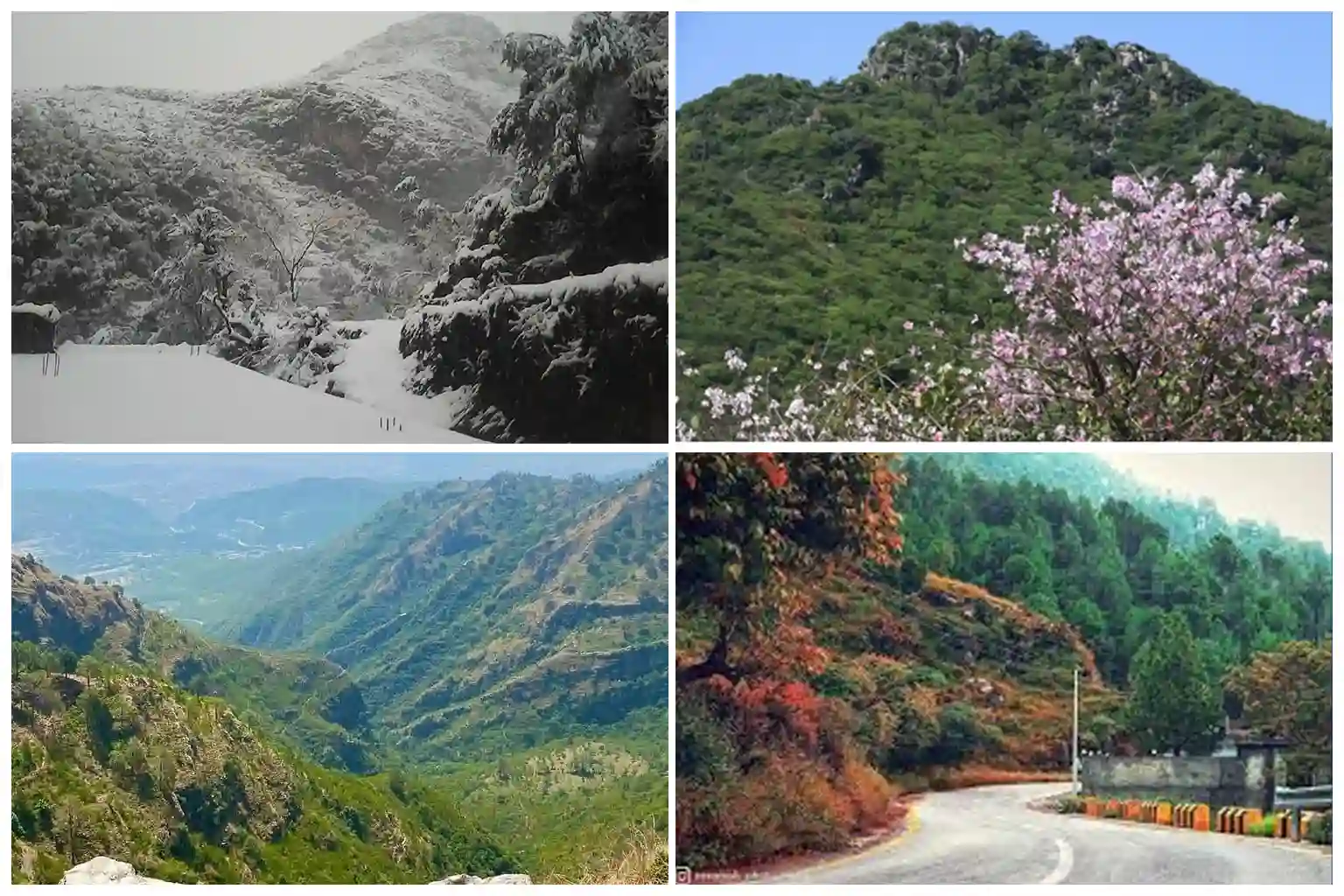 Best Time to Visit the Margalla Hills