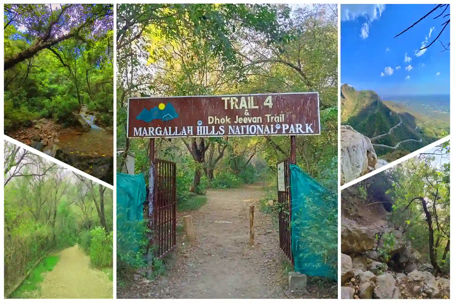 Hiking Trail 4 Islamabad