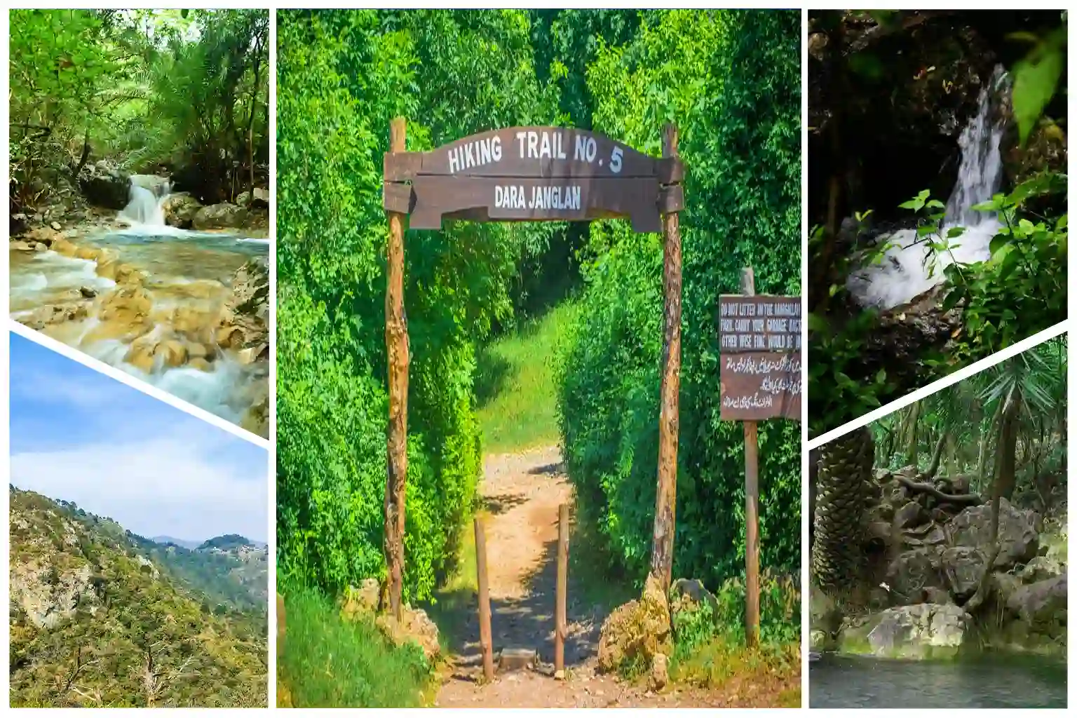 Hiking Trail 5 Islamabad