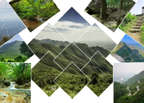 Hiking Trails in Islamabad: A Complete Guide to the Margalla Hills