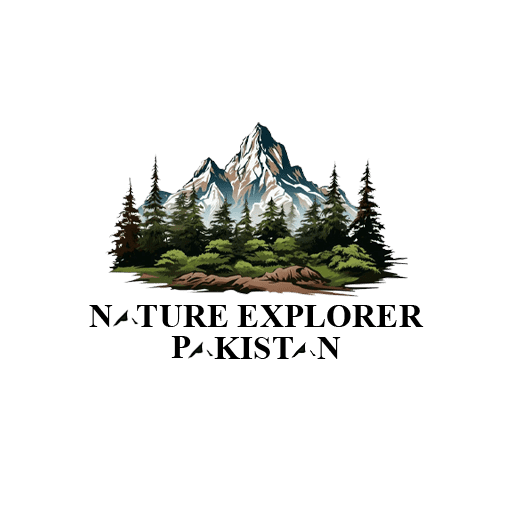 Nature Explorer